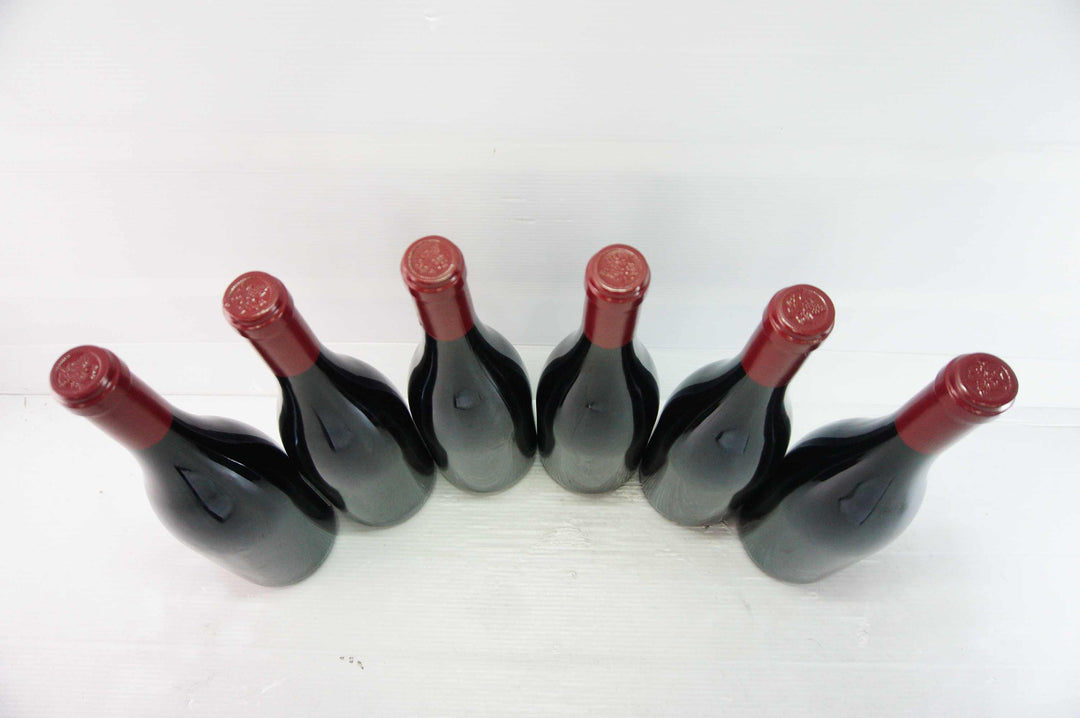 Sylvain Cathiard Nuits St Georges Aux Thorey 1er Cru 2009
