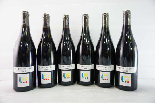 Prieure Roch Nuits Saint Georges 1er Cru 2009