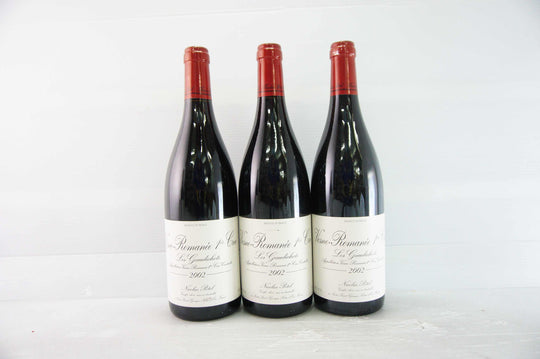 Nicolas Potel Vosne Romanee Les Gaudichots 1er Cru 2002 *