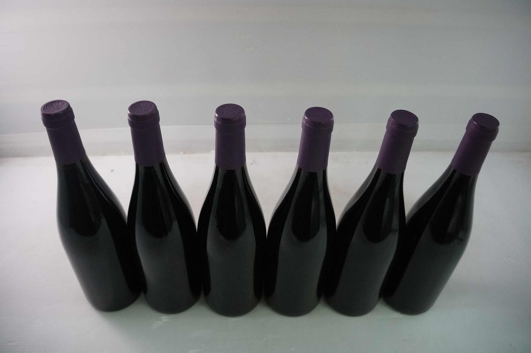Marc Soyard Domaine de la Cras Coteaux de Dijon Bourgogne Rouge 2019