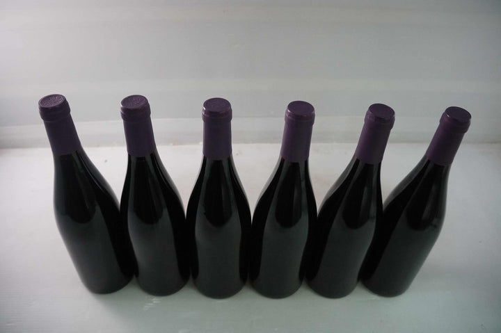 Marc Soyard Domaine de la Cras Coteaux de Dijon Bourgogne Rouge 2019