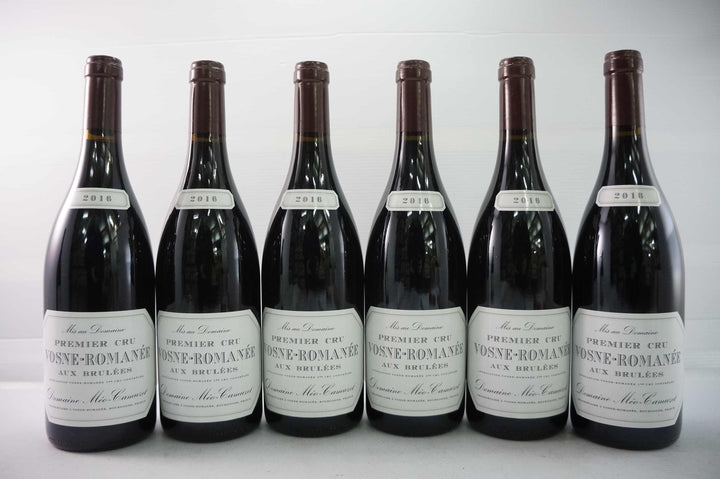Meo Camuzet Vosne Romanee Aux Brulees 1er Cru 2016