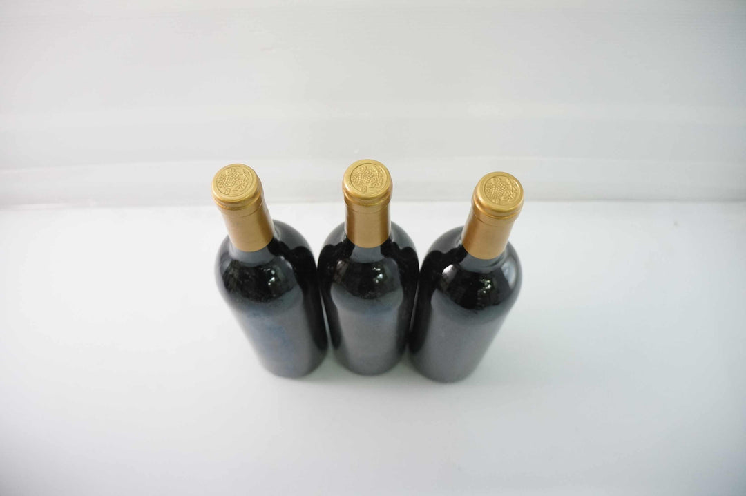 Peyre Rose Coteaux du Languedoc Syrah Leone 1998 *