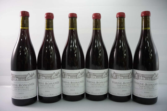 Domaine de Bellene Vosne Romanee Les Suchots 1er Cru 2011