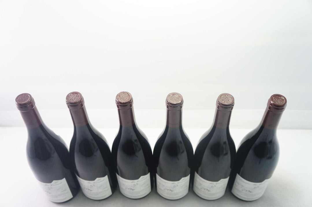 Meo Camuzet Nuits Saint Georges Aux Murgers 1er Cru 2009