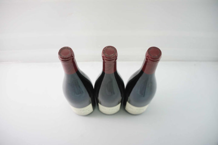 Emmanuel Rouget Nuits St Georges 2013