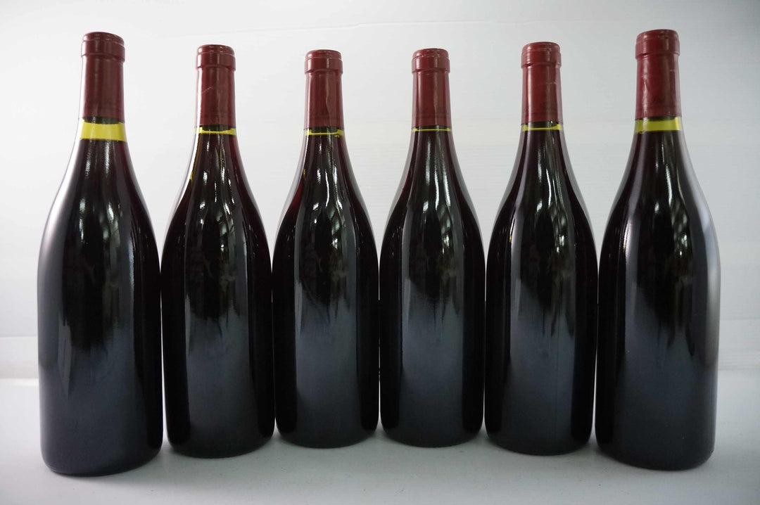 Nicolas Potel Pommard Les Jarollieres 1er Cru 1999