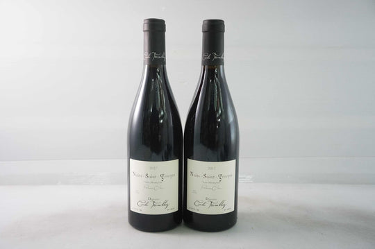 Cecile Tremblay Nuits Saint Georges Les Murgers 1er Cru 2017