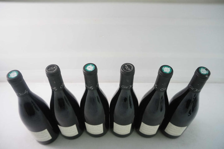 Cecile Tremblay Morey Saint Denis Tres Girard 2017 *