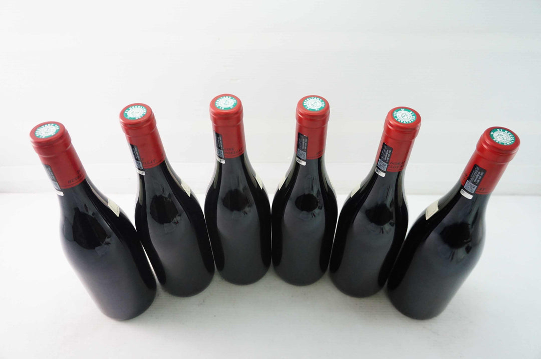 Hudelot Noellat Nuits St Georges Les Murgers 1er Cru 2016
