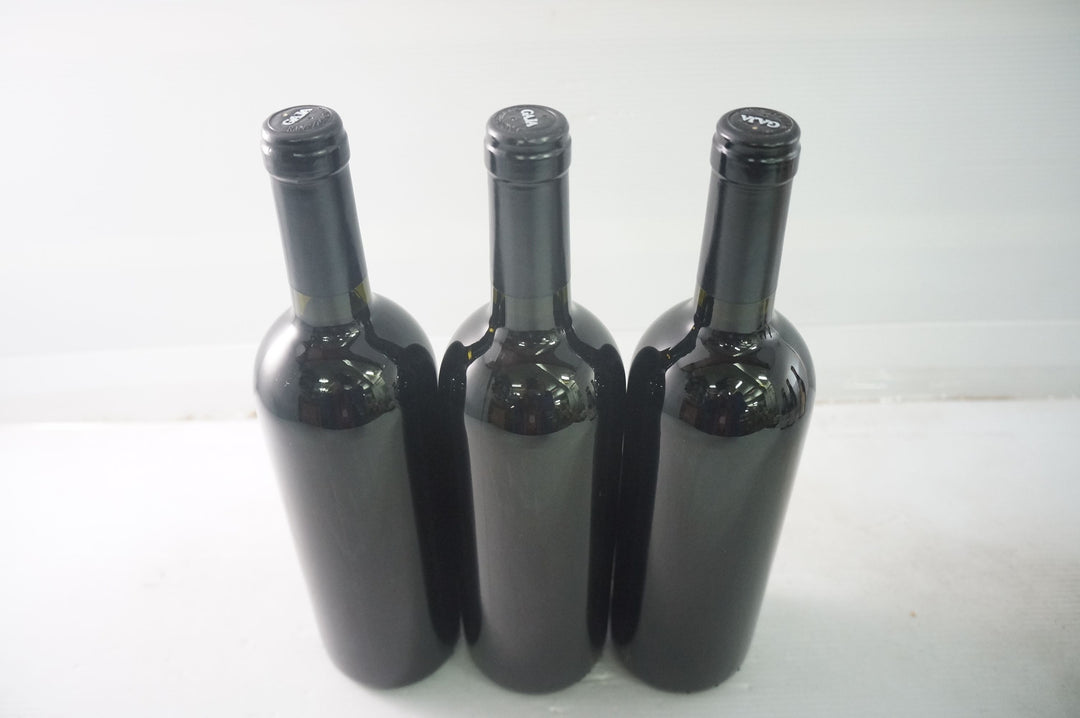 Gaja Darmagi 2001