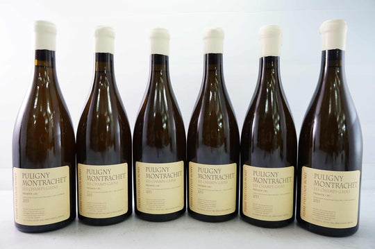 Pierre Yves Colin Morey Puligny Montrachet Champs Gains 1er Cru 2013