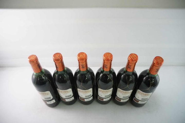 Marques de Murrieta Rioja Ygay Reserva 1990