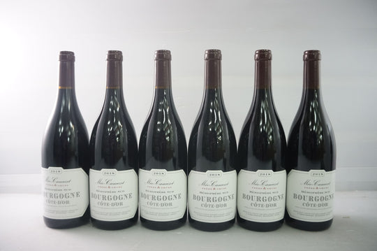 Meo Camuzet Bourgogne Cote d'Or Hemisphere Sud Rouge 2018