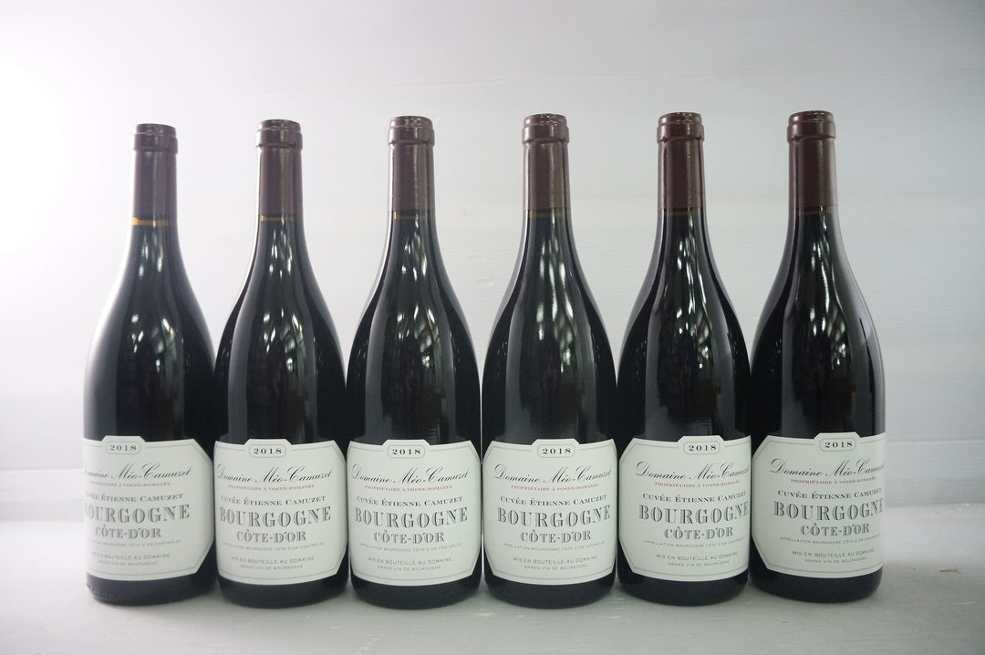 Meo Camuzet Bourgogne Cote d'Or Cuvee Etienne Camuzet Rouge 2018