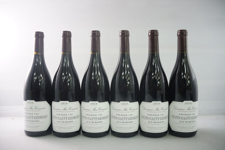 Meo Camuzet Nuits Saint Georges Aux Murgers 1er Cru 2018