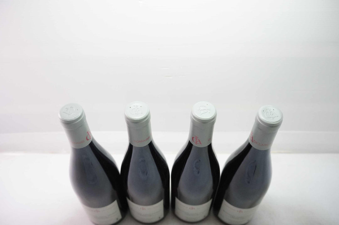 Domaine de L'Arlot Romanee St Vivant Grand Cru 2010