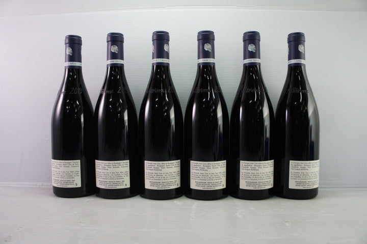 Anne Gros Bourgogne Pinot Noir 2019