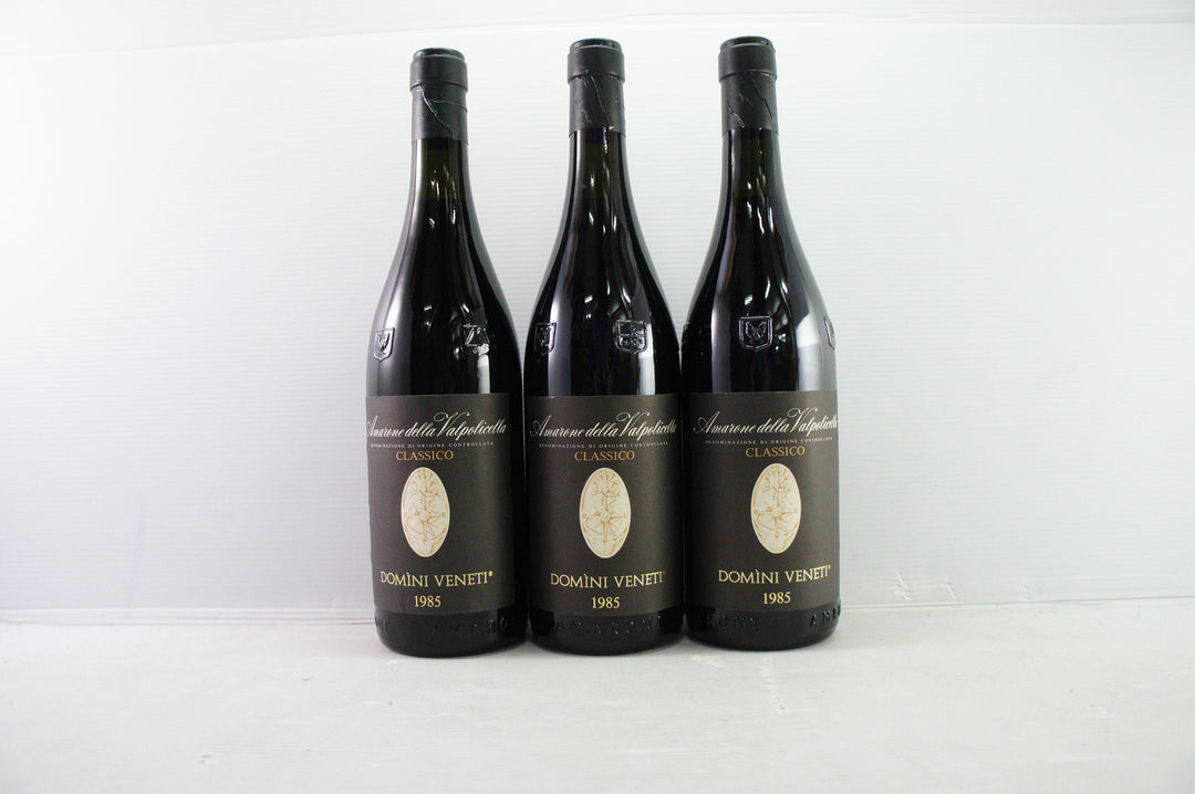 Domini Veneti Amarone Della Valpolicella Classico 1985