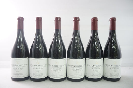 Sylvain Cathiard Nuits Saint Georges Aux Murgers 1er Cru 2002