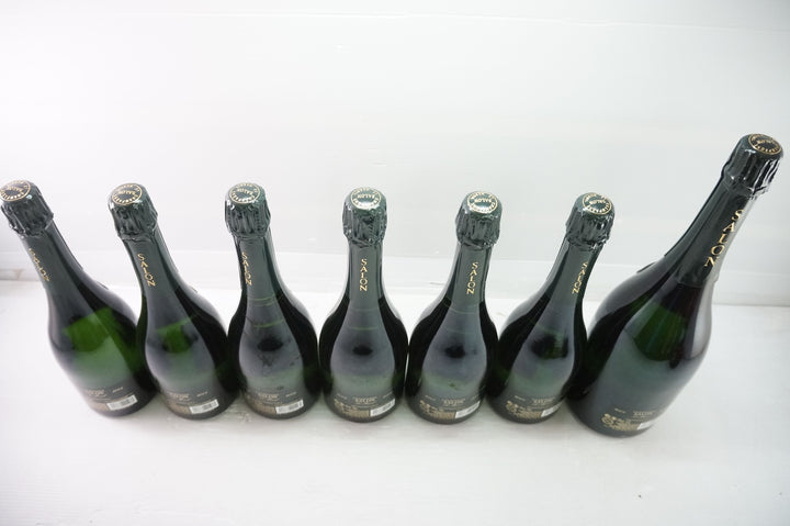 Salon Oenotheque Set (04 x 2 / 06 x 2 / 07 x 2 / 08 Mag x 1)