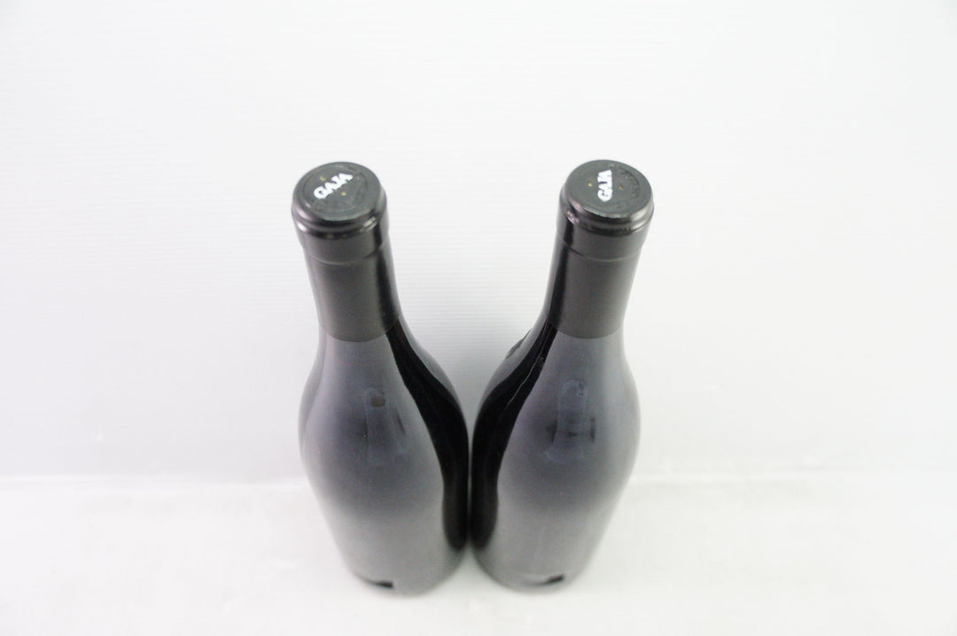 Gaja Sori Tildin 2004