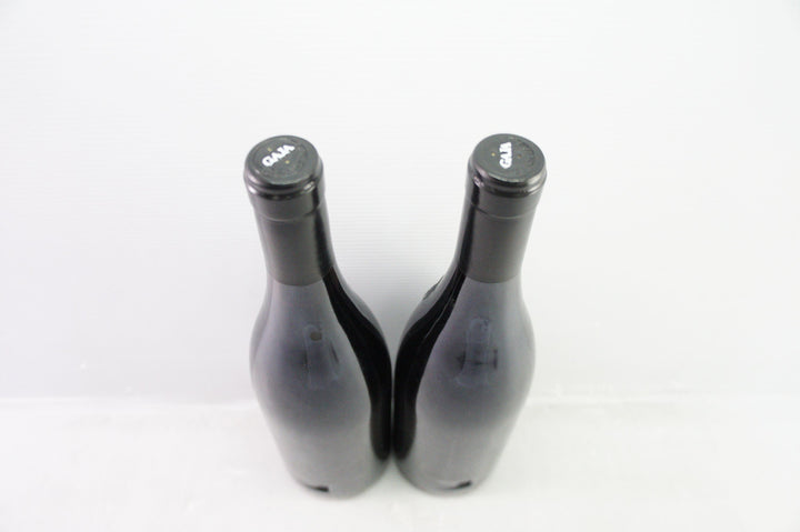 Gaja Sori Tildin 2004