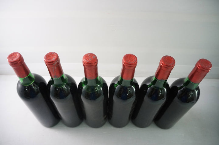 Petrus 1978 *