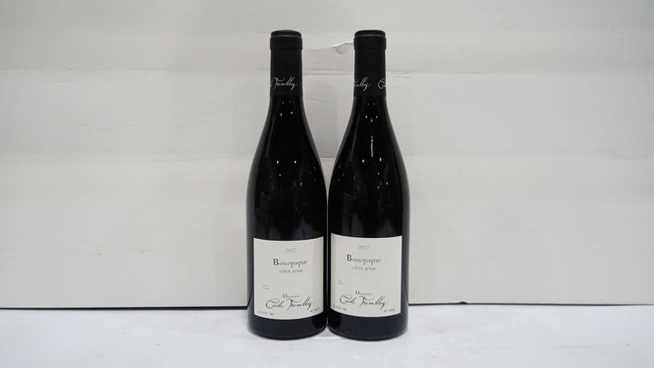 Cecile Tremblay Bourgogne Rouge 2017