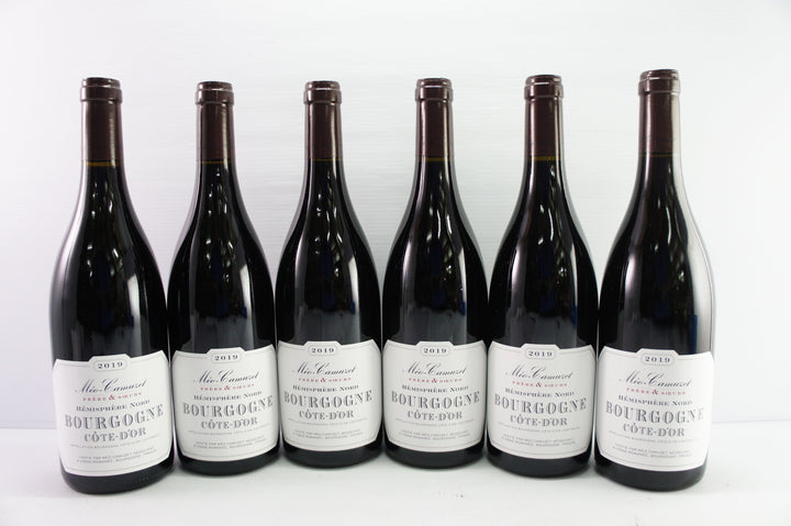 Meo Camuzet Bourgogne Cote d'Or Hemisphere Nord Rouge 2019