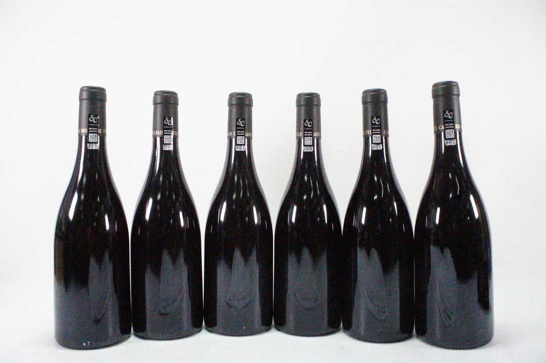 Sylvain Cathiard Hautes Cotes de Nuits 'Aux Chaumes' 2020