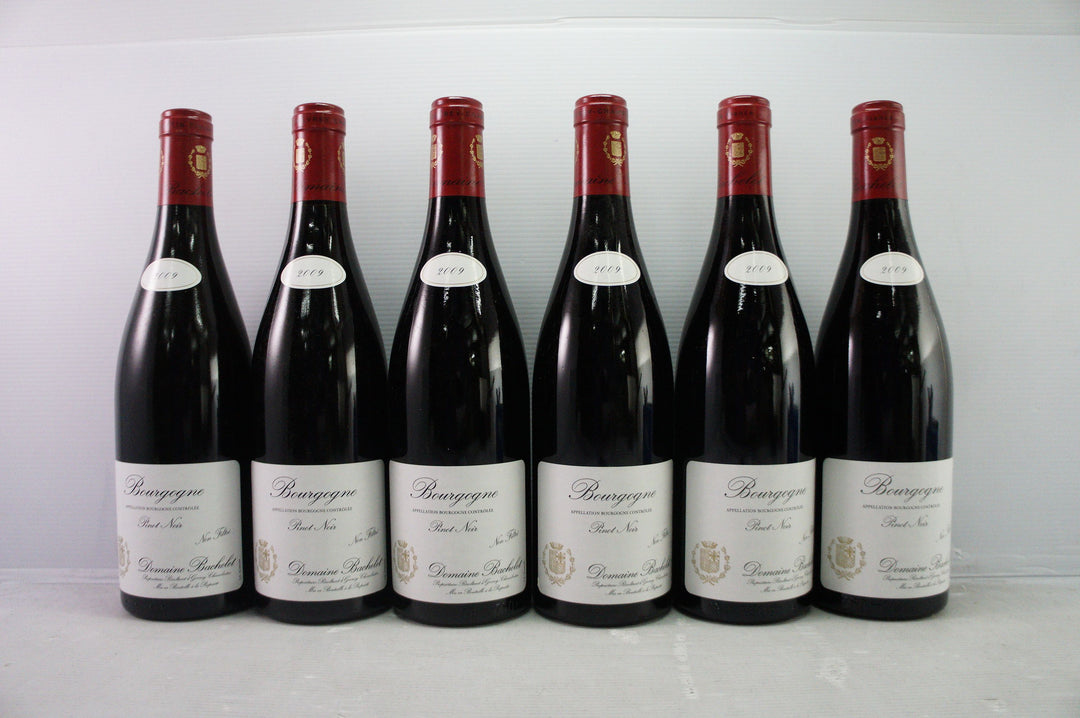 Denis Bachelet Bourgogne Rouge 2009