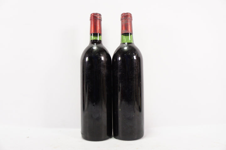 Petrus 1982