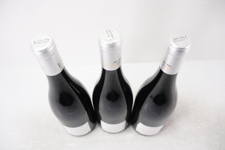 Jean Marc Vincent Santenay Gravite Rouge 2019