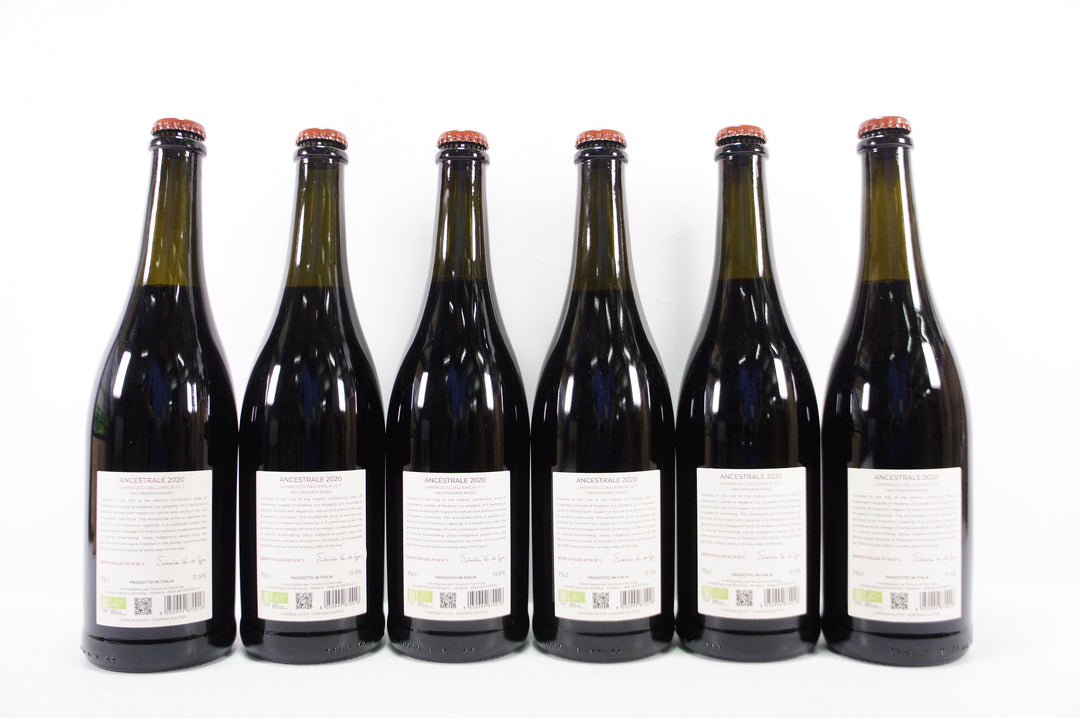 Sebastian Van de Skype Ancestrale Lambrusco 2020
