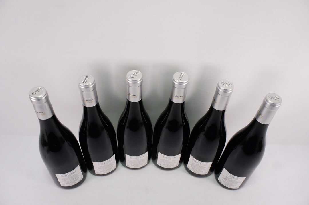 Jean Marc Vincent Santenay Gravite Rouge 2014