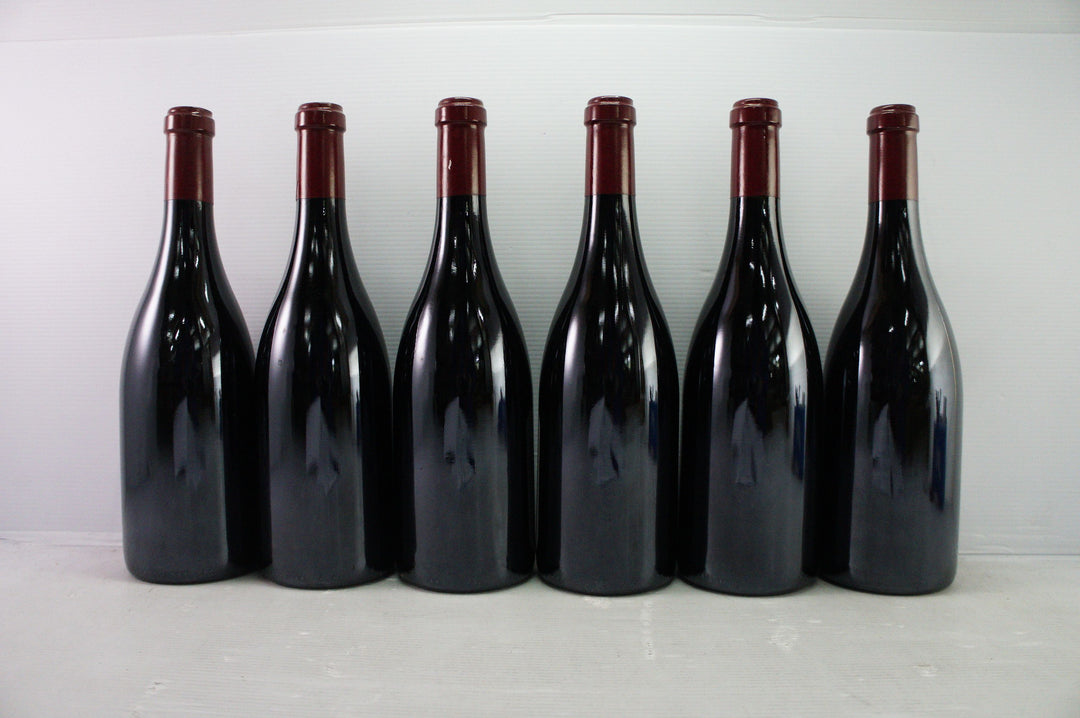 Sylvain Cathiard Nuits Saint Georges Aux Murgers 1er Cru 2009