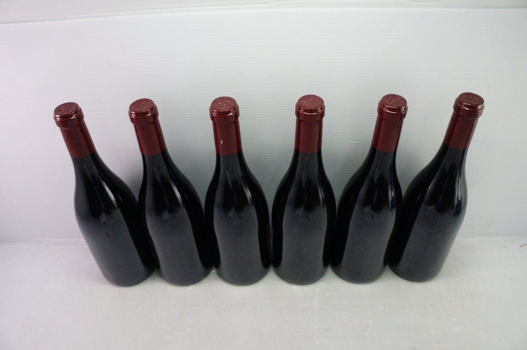 Sylvain Cathiard Nuits Saint Georges Aux Murgers 1er Cru 2009