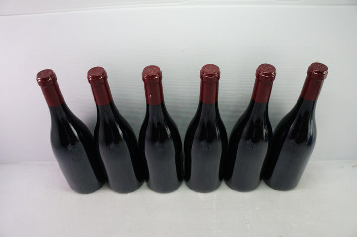 Sylvain Cathiard Nuits Saint Georges Aux Murgers 1er Cru 2009