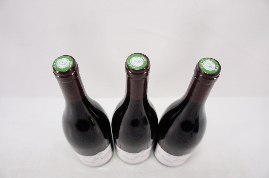 Meo Camuzet Nuits Saint Georges Aux Murgers 1er Cru 2017