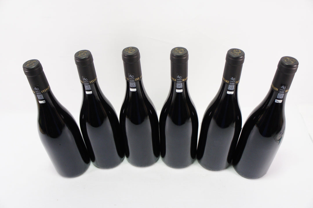 Sylvain Cathiard Hautes Cotes de Nuits 'Les Dames Huguettes' 2019