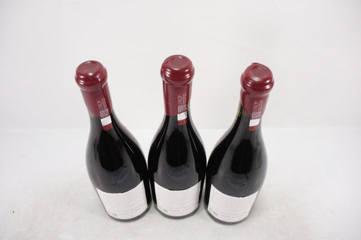 Leroy (Domaine) Nuits St Georges Aux Boudots 1er Cru 2009