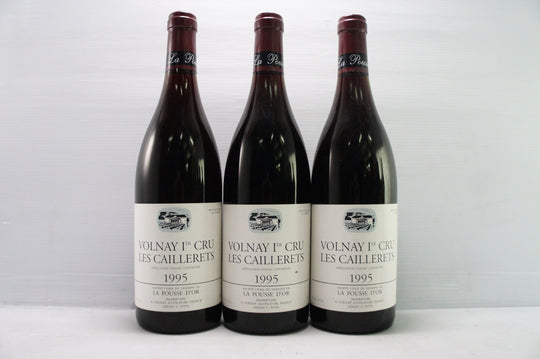 Pousse d'Or Volnay Caillerets 1er Cru 1995 *