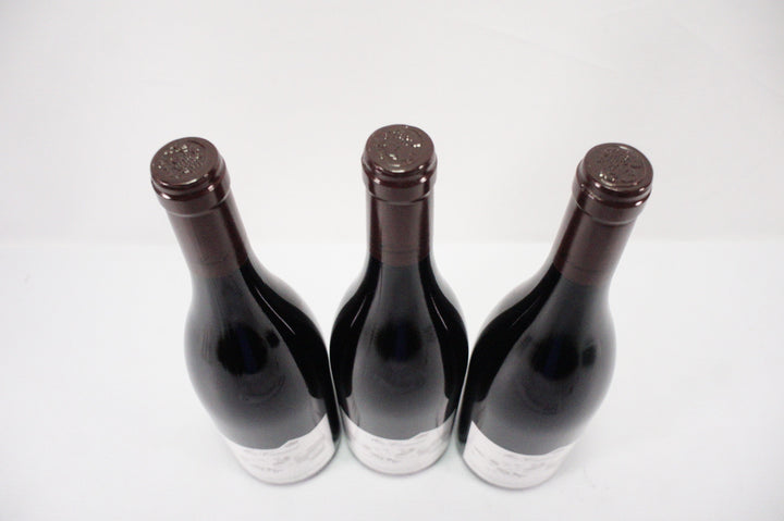 Meo Camuzet Nuits Saint Georges Aux Murgers 1er Cru 2019
