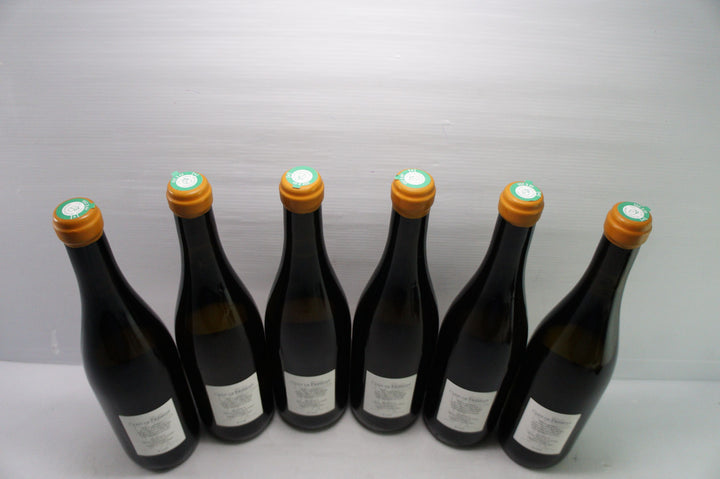 Thibaud Boudignon Savennieres Clos de Fremine 2020