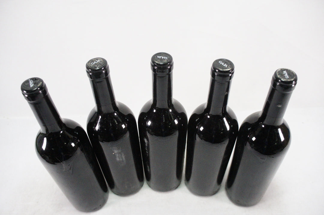 Gaja Darmagi 1996
