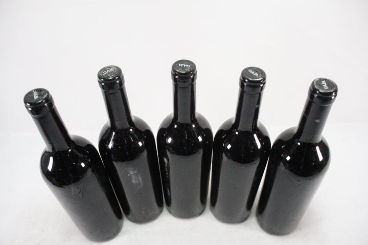 Gaja Darmagi 1996