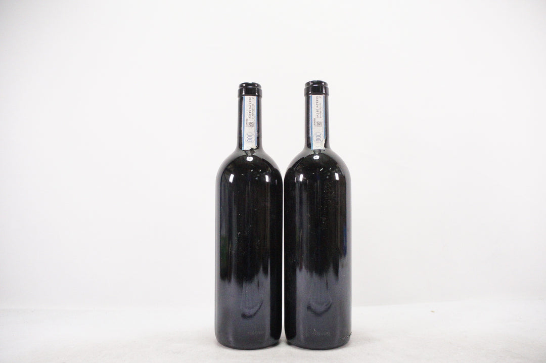 Gaja Darmagi 2010