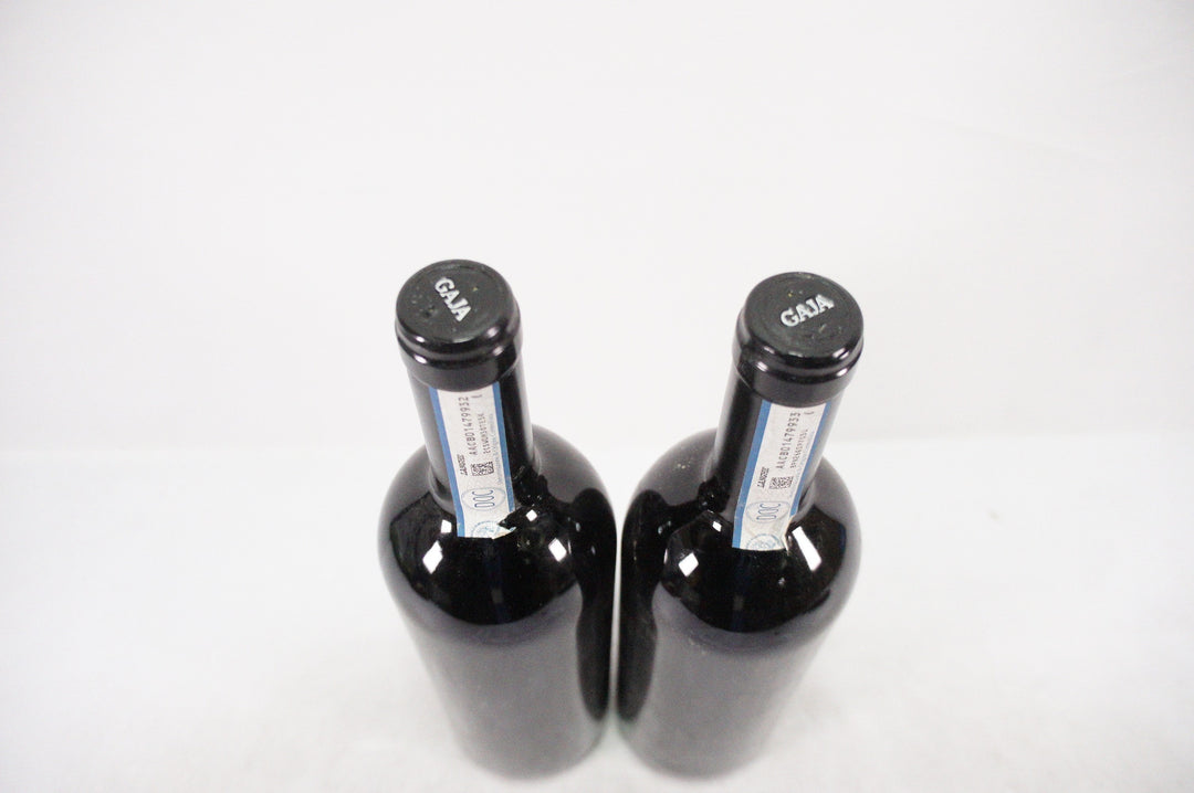Gaja Darmagi 2010