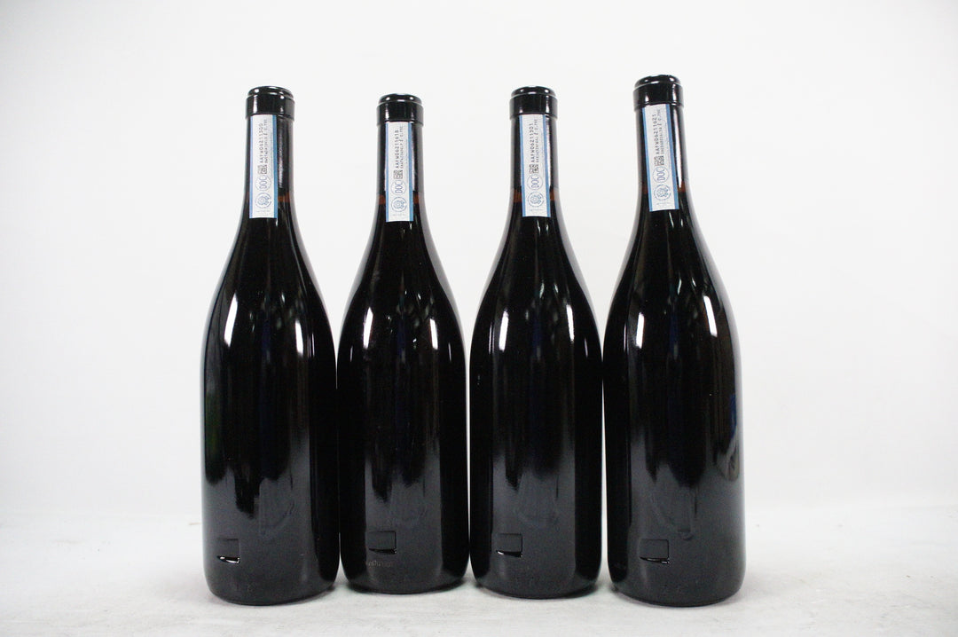 Gaja Sori Tildin 2011
